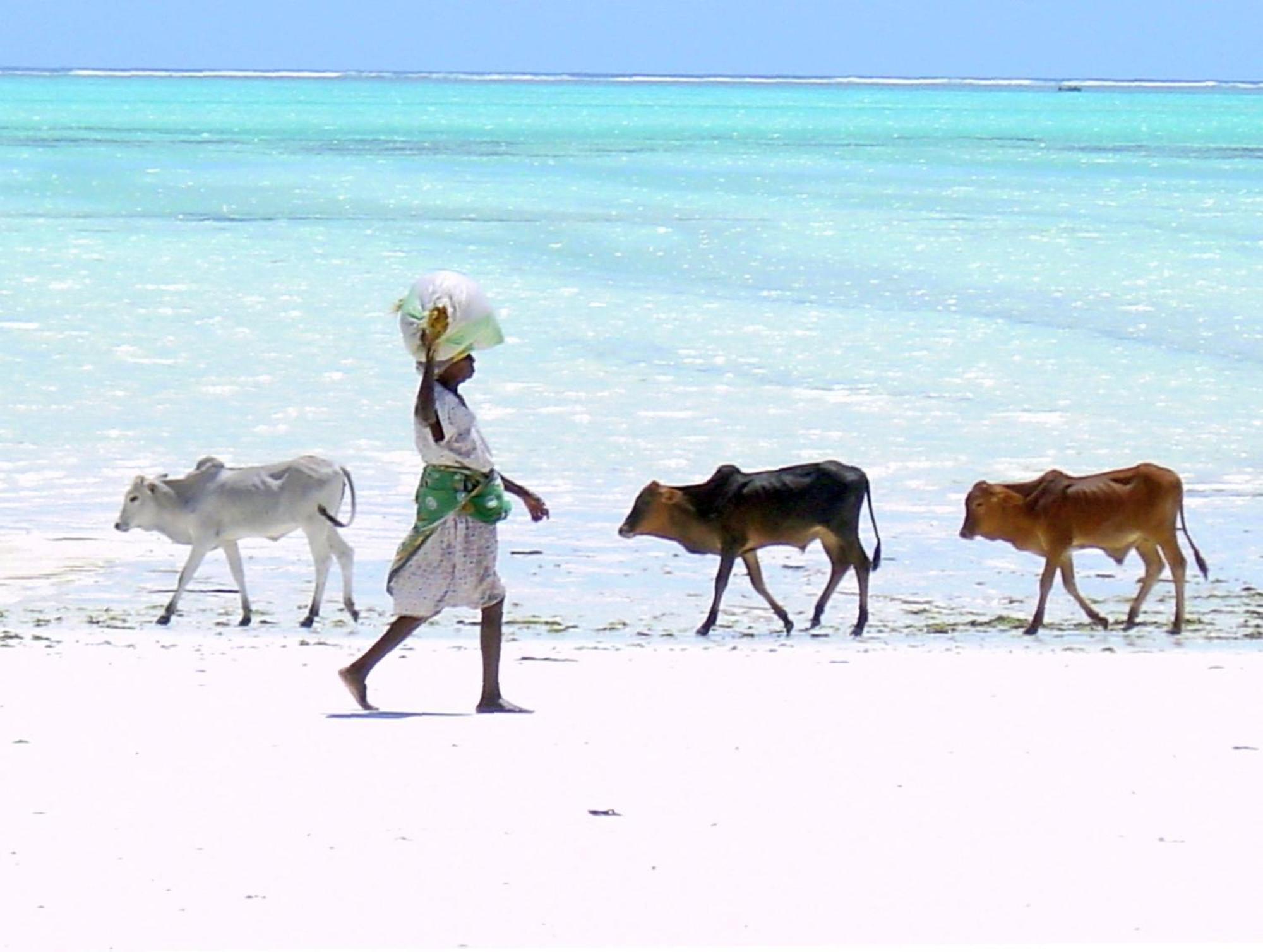 Villa Bahati Zanzibar Джамбіані Екстер'єр фото